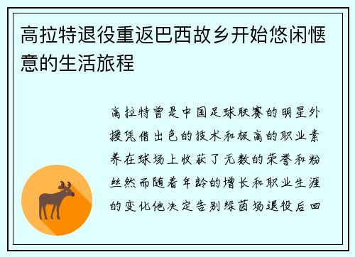 高拉特退役重返巴西故乡开始悠闲惬意的生活旅程 高拉特退役重返巴西故乡开始悠闲惬意的生活旅程